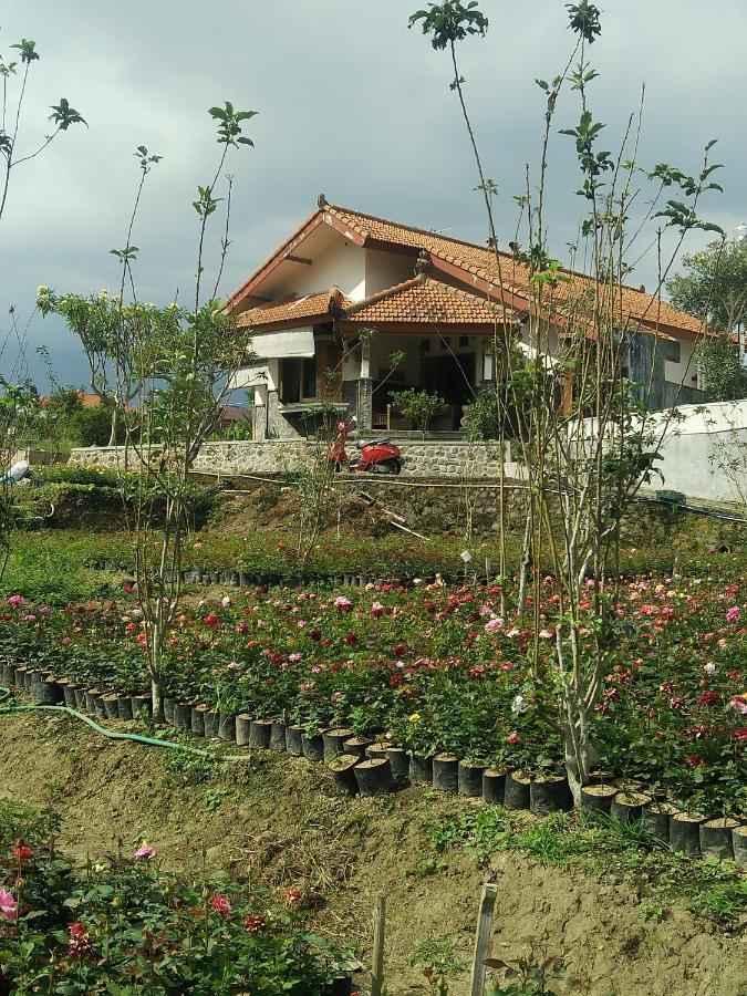 Shanty'S House Бату Екстер'єр фото